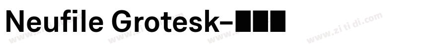 Neufile Grotesk字体转换